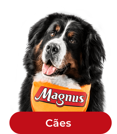 Magnus - Adimax. Alimentos para cães e gatos.