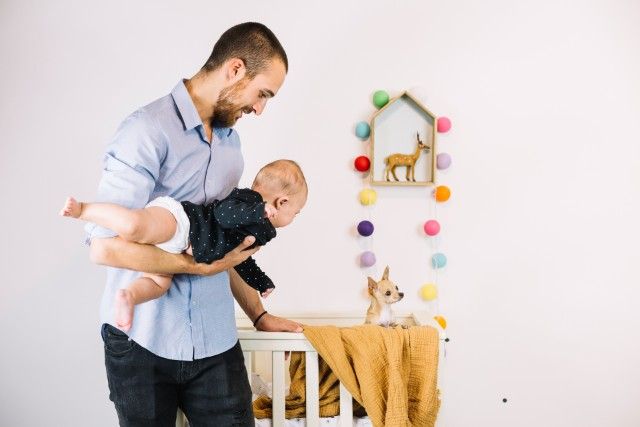 Cachorro e Bebê: Como Acertar na Adaptação