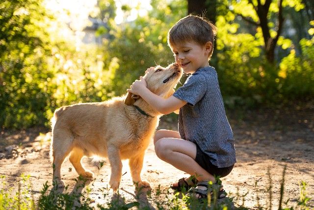 Como Adaptar Cachorro e Criança: Dicas e Cuidados