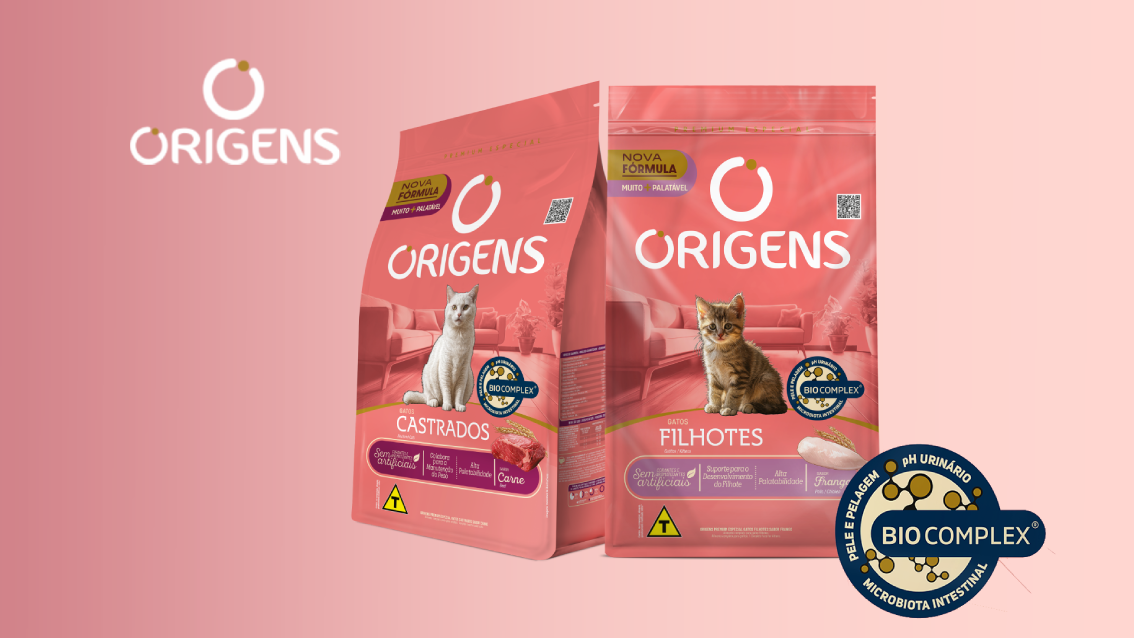 Origens Gato