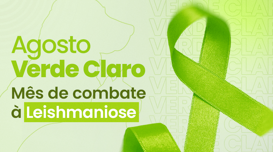 Agosto verde Claro