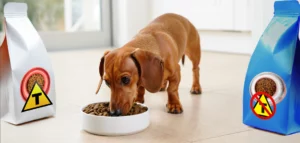 Ração Transgênicos