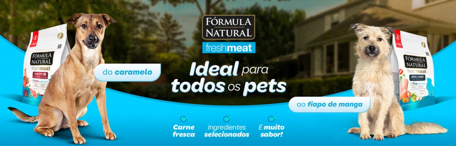 Banner Fresh Meat