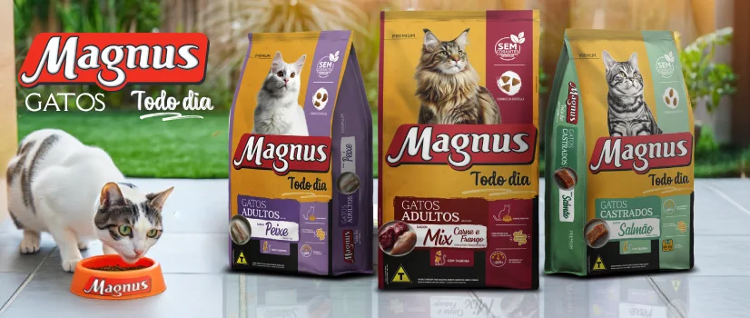 Magnus lança Magnus Todo Dia Gatos: Nutrição Premium para o dia a dia dos felinos