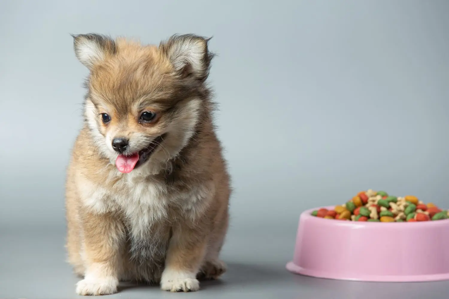 Nutrição e Curva de Crescimento — Qual É A Ração Ideal