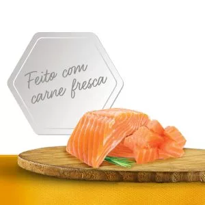 FNFM PROTEINA SALMAO.jpg