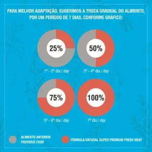 FNFM Transicao.jpg